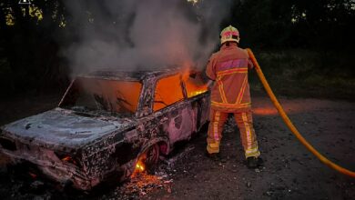 Гасіння пожежі на території Миколаївської області