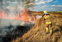 Фото пожеж на Миколаївщині, ілюстрація наслідків займань