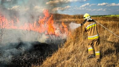Фото пожеж на Миколаївщині, ілюстрація наслідків займань