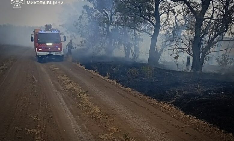 У Миколаєві під час пожежі в будинку обпікся чоловік: за добу на Миколаївщині виникло 9 пожеж
