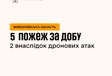 Фото з ліквідації пожеж на Миколаївщині