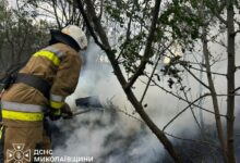 Ілюстративне зображення пожеж на Миколаївщині, ліквідованих рятувальниками