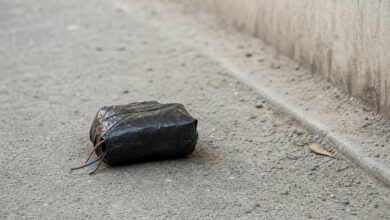 Ілюстративне зображення до новини: Шановні громадяни, правоохоронці вкотре закликають бути вкрай обережними під час виявлення невідомих предметів та не ризикувати власним життям та життям оточуючих!