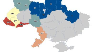 статистика перетину кордону за півроку (Опендатамедіа)