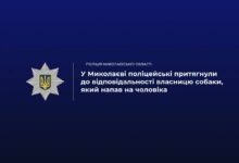 Поліцейські склали протокол на власницю собаки після нападу тварини на чоловіка у Миколаєві