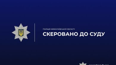 Матеріали справи про ножове поранення чоловіка в гаражі у Миколаєві