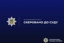 Правоохоронці вилучили інструменти, транспорт із причепами та незаконно заготовлену деревину на Миколаївщині