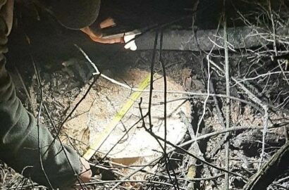 Правоохоронці вилучили інструменти, транспорт із причепами та незаконно заготовлену деревину на Миколаївщині