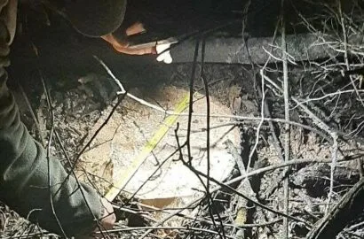 Правоохоронці вилучили інструменти, транспорт із причепами та незаконно заготовлену деревину на Миколаївщині