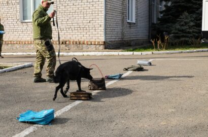 Фото до офіційного повідомлення поліції Миколаївської області