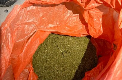 Поліцейські вилучили наркотичні речовини та рослини конопель на Миколаївщині