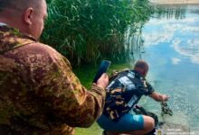 Вилучені раки та риболовне знаряддя після незаконного підводного вилову на Миколаївщині