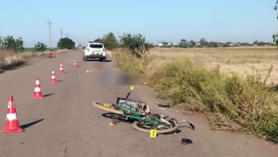 Місце смертельної ДТП із велосипедисткою на дорозі між Горохівкою та Виноградним у Баштанському районі