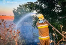 Рятувальники ліквідовують пожежу на відкритій території Миколаївщини
