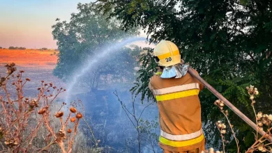 Рятувальники ліквідовують пожежу на відкритій території Миколаївщини