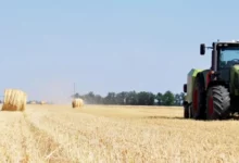 Зернові рукави для тимчасового зберігання врожаю в Україні, ілюстративне фото
