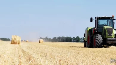 Зернові рукави для тимчасового зберігання врожаю в Україні, ілюстративне фото