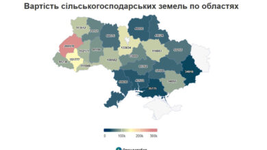 Інфографіка OpenDataBot