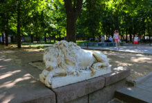 каштановий сквер