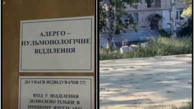 Чи сумісні алергологічне відділення та зарості амброзії ? (скріншоти з відео Світлани Федорової)