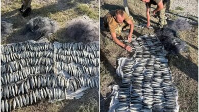 наловив риби на півмільйона