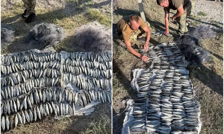 наловив риби на півмільйона