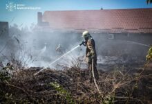 Рятувальники ліквідовують пожежу вантажного автотранспорту на Миколаївщині