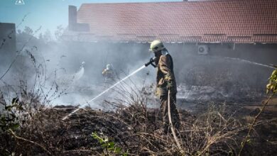 Рятувальники ліквідовують пожежу вантажного автотранспорту на Миколаївщині