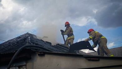Ілюстративне зображення наслідків пожеж на Миколаївщині