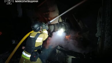 Наслідки пожеж, які рятувальники ліквідували на Миколаївщині, ілюстративне фото