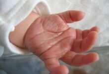 Матеріали справи про вбивство новонародженого на Волині