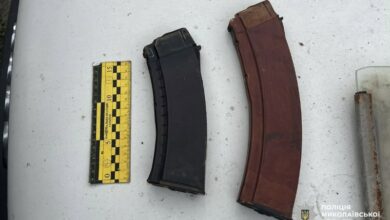 Корпуси гранат, набої та частини автомата, вилучені в жителя Добренської громади