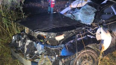 Автомобіль Toyota після перекидання в кюветі на Миколаївщині