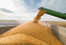 Український агроекспорт в умовах обмеженої роботи морських портів