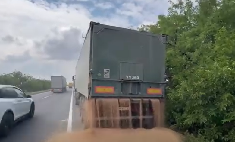 Водій почав висипати зерно на дорогу: чотири MAN намагалися об’їхати ваговий комплекс на Миколаївщині
