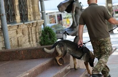 Поліцейські забезпечують порядок під час святкування Дня міста в Миколаєві