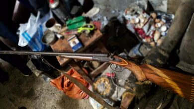 Вилучені гранати, рушниці, набої та висушені рослини коноплі на Первомайщині