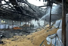 Пошкоджені виробничі потужності елеватора «Прометей» у Миколаєві після атаки російського дрона