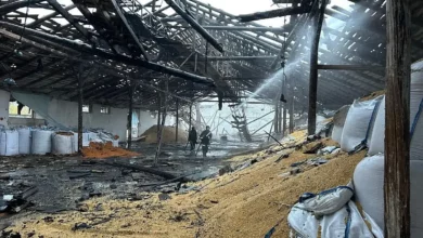 Пошкоджені виробничі потужності елеватора «Прометей» у Миколаєві після атаки російського дрона