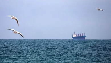Торговельне судно під прапором Танзанії, атаковане російським дроном під час прямування до українського порту