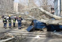 Автомобіль Mercedes-Benz, пошкоджений падінням дерева на вулиці Маріупольській у Миколаєві