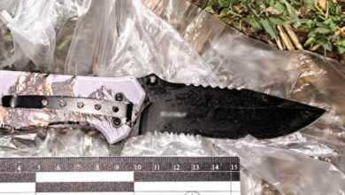 Робота поліції на місці ножового поранення під час родинного свята на Миколаївщині