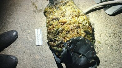 Незаконний вилов 182 раків у Вознесенському районі Миколаївщини