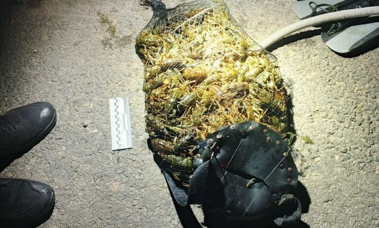 Браконьєр з аквалангом виловив 182 раки у Південному Бузі