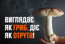 Госпіталізація жінки після вживання грибів у Первомайському районі