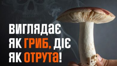 Госпіталізація жінки після вживання грибів у Первомайському районі