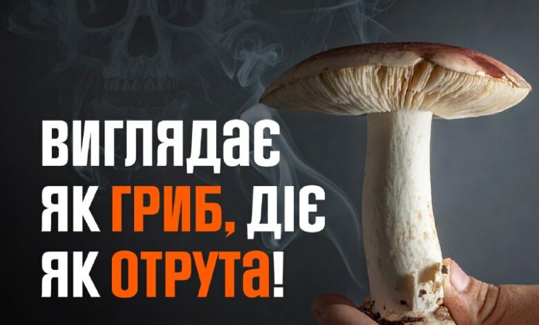 Госпіталізація жінки після вживання грибів у Первомайському районі