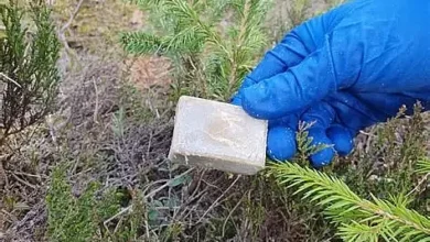 Приманки з вакциною проти сказу для диких тварин на Миколаївщині