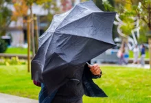 Штормове попередження через сильний вітер у Миколаєві та області