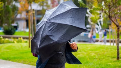 Штормове попередження через сильний вітер у Миколаєві та області